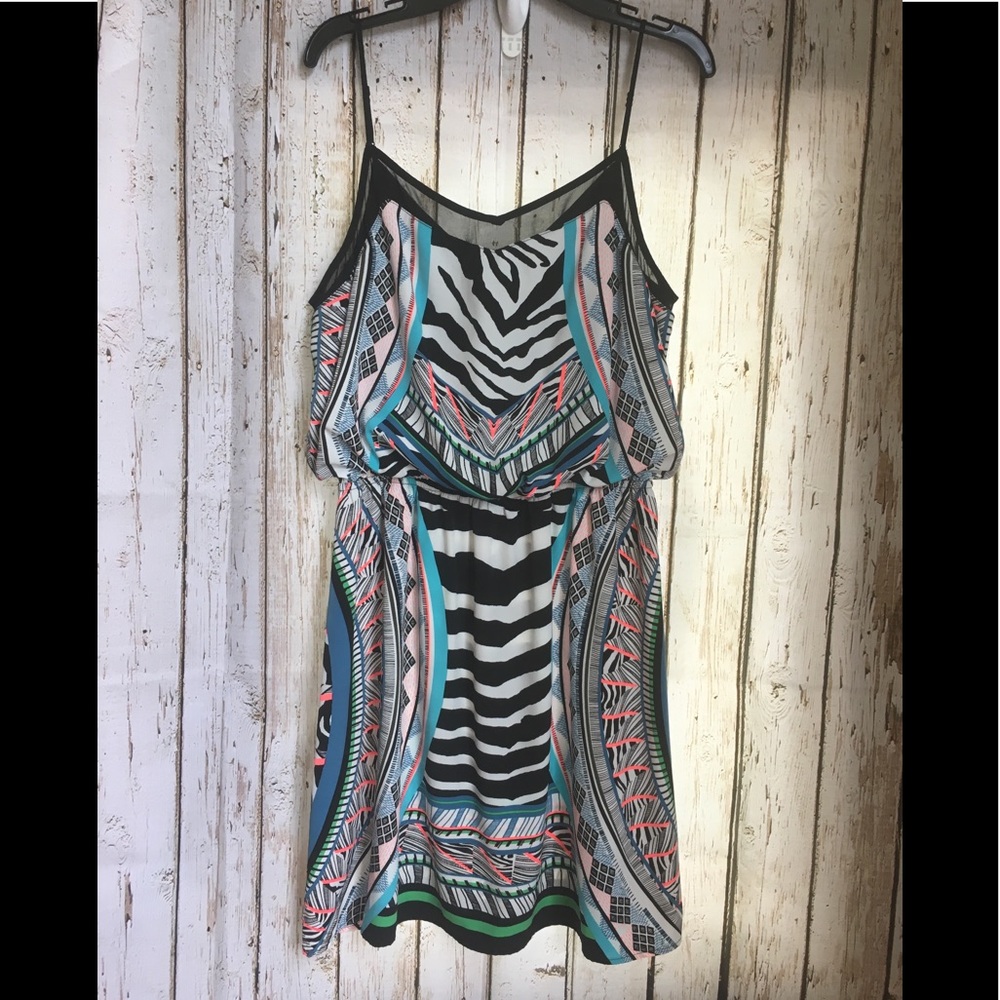 Express Multi Zebra Print Dress